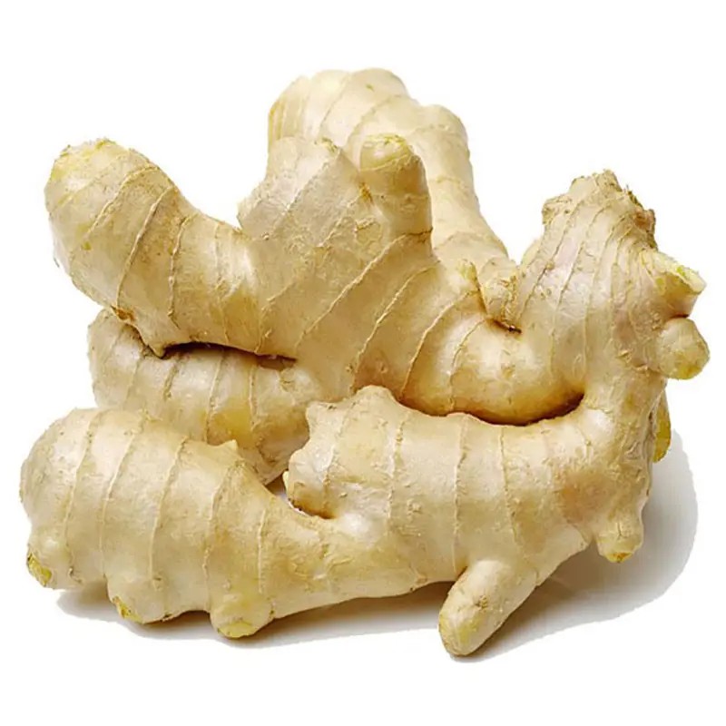Wind-dried ginger roots