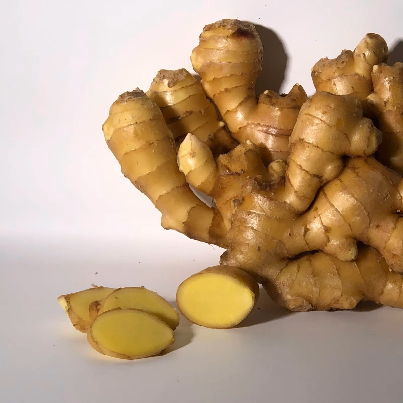 Fresh organic ginger roots